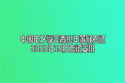 中国电子学会青少年等级考试2022年12月考试安排