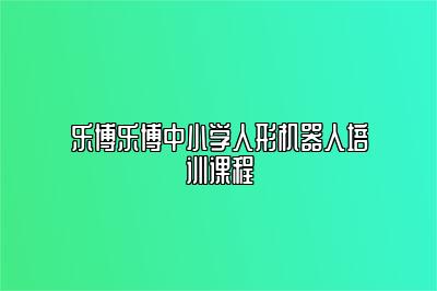 乐博乐博中小学人形机器人培训课程 