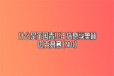 什么是全国青少年信息学奥林匹克竞赛（NOI） 