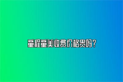 童程童美收费价格贵吗？ 