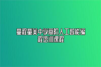 童程童美中学高阶人工智能编程培训课程