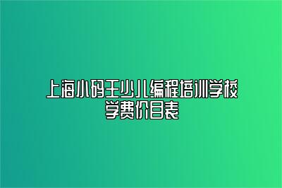 上海小码王少儿编程培训学校学费价目表