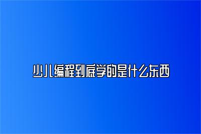 少儿编程到底学的是什么东西 