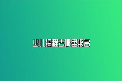 少儿编程去哪里报名 