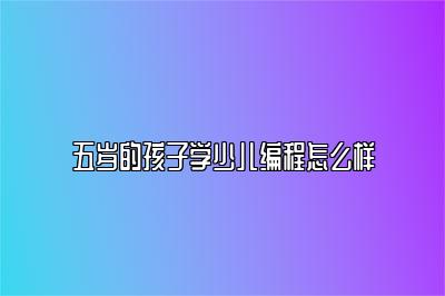 五岁的孩子学少儿编程怎么样 