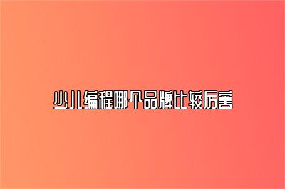 少儿编程哪个品牌比较厉害