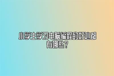 小学生学习电脑编程的好处都有哪些？