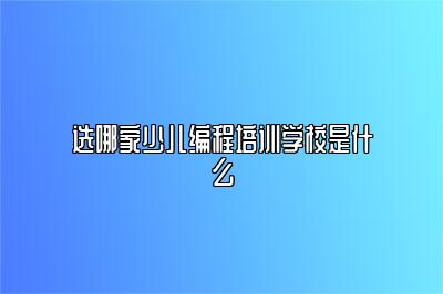 选哪家少儿编程培训学校是什么 