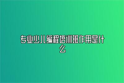 专业少儿编程培训班作用是什么 