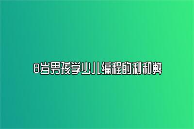 8岁男孩学少儿编程的利和弊