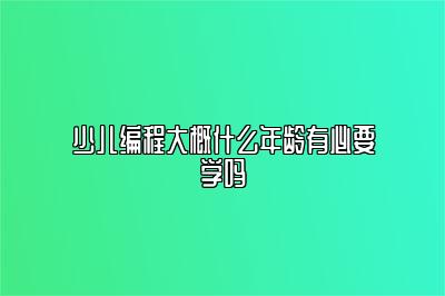 少儿编程大概什么年龄有必要学吗 