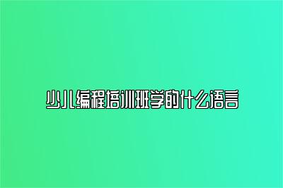 少儿编程培训班学的什么语言 