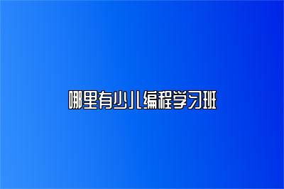 哪里有少儿编程学习班 