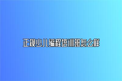 正规少儿编程培训班怎么样 