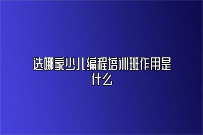 选哪家少儿编程培训班作用是什么 