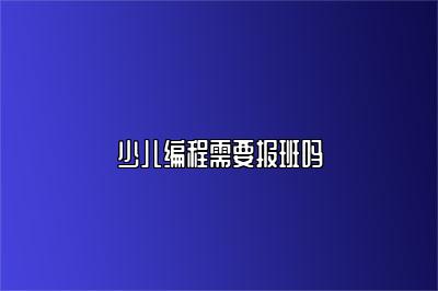 少儿编程需要报班吗 