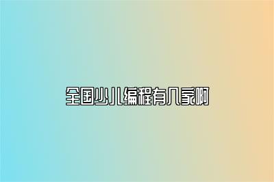 全国少儿编程有几家啊 