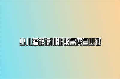 少儿编程培训班报名费多少钱