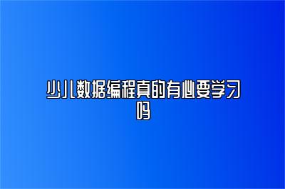 少儿数据编程真的有必要学习吗 