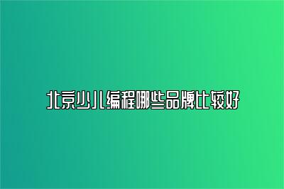 北京少儿编程哪些品牌比较好 