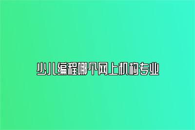 少儿编程哪个网上机构专业 