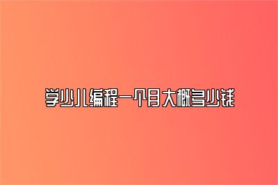 学少儿编程一个月大概多少钱 