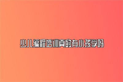 少儿编程培训真的有小孩学吗 