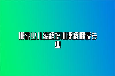 哪家少儿编程培训课程哪家专业 