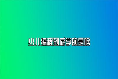 少儿编程到底学的是啥 