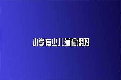 小学有少儿编程课吗 