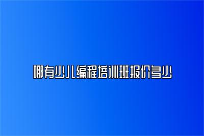 哪有少儿编程培训班报价多少 