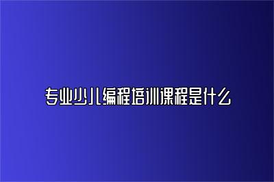 专业少儿编程培训课程是什么 