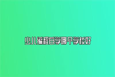 少儿编程自学哪个学校好 