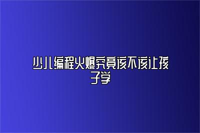 少儿编程火爆究竟该不该让孩子学 