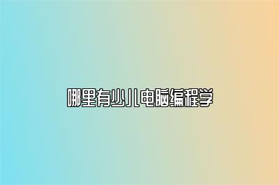 哪里有少儿电脑编程学 