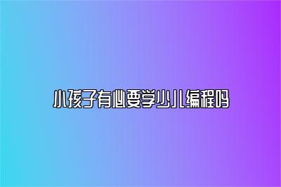 小孩子有必要学少儿编程吗 