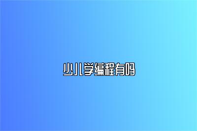少儿学编程有吗 