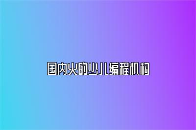 国内火的少儿编程机构 