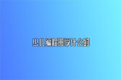 少儿编程班学什么的 