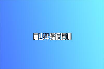 青少年编程培训 