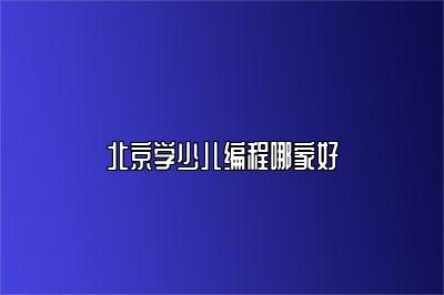 北京学少儿编程哪家好 