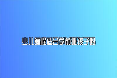 少儿编程适合学前班孩子吗 