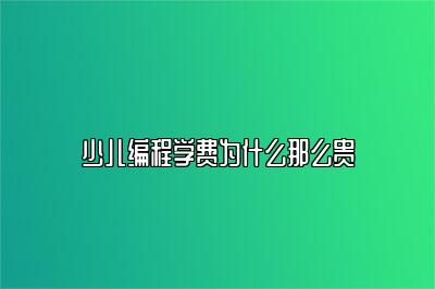 少儿编程学费为什么那么贵 