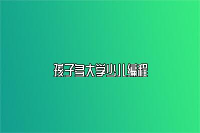 孩子多大学少儿编程 
