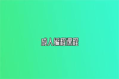 成人编程课程 