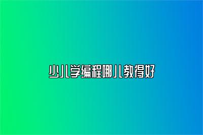 少儿学编程哪儿教得好 