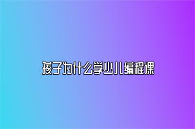 孩子为什么学少儿编程课 