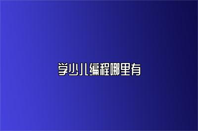 学少儿编程哪里有 
