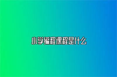 小学编程课程是什么 