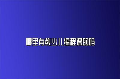 哪里有教少儿编程课的吗 